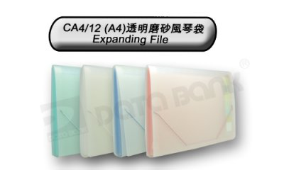 DATA BANK A4 12格透明磨砂风琴快劳 CA4/12