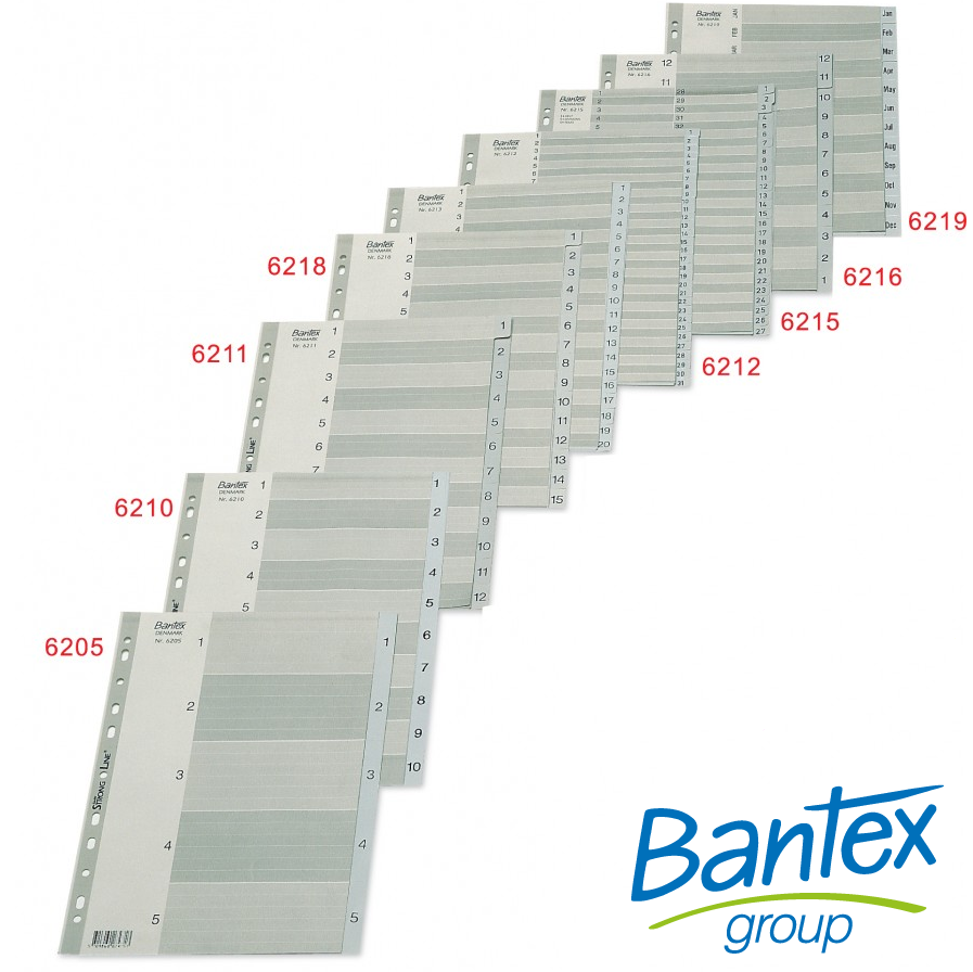 BANTEX A4 灰色胶质索引分类 1-20  #6213