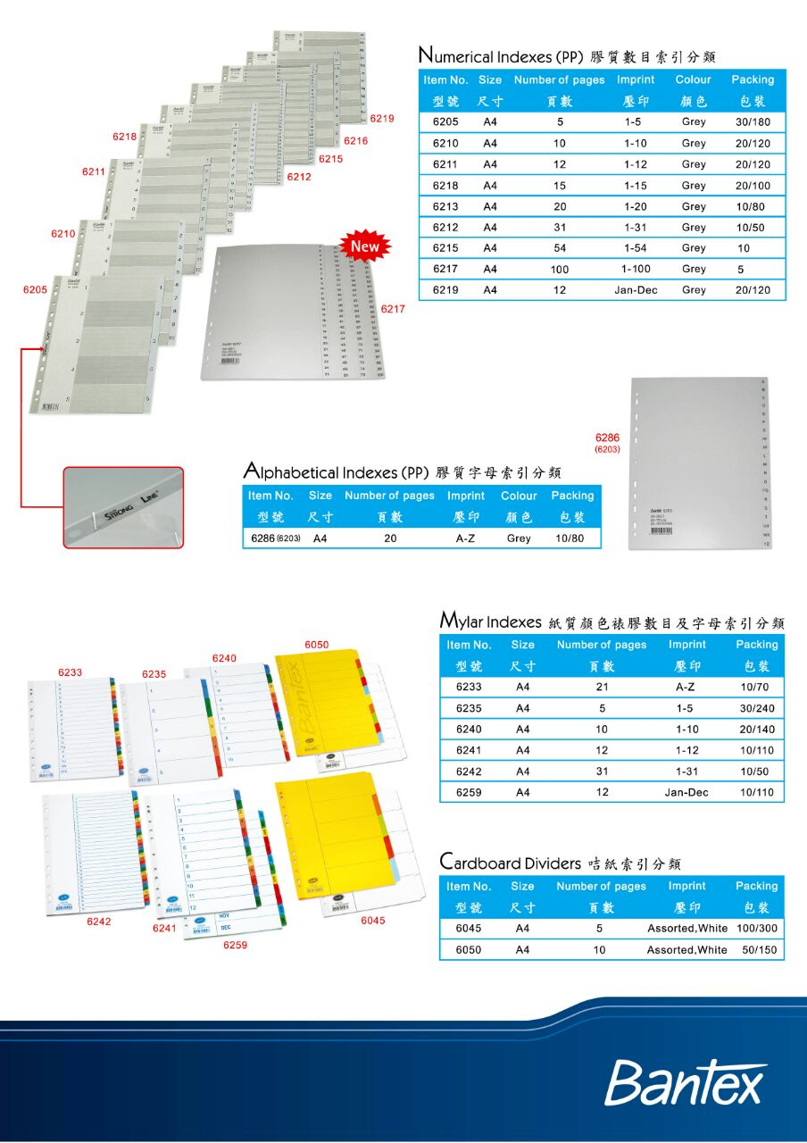 BANTEX A4 12色胶质索引分类 #6022