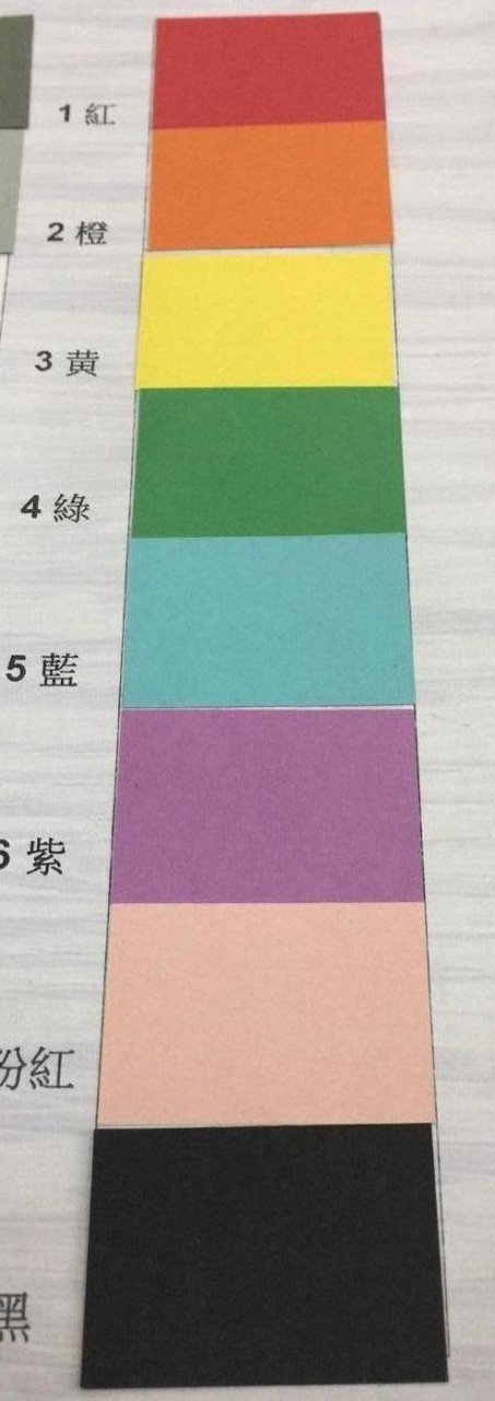 100G 韓國粉畫紙 31"x43"