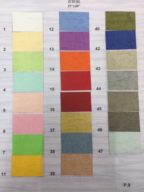100G 皮纹纸 25"x35"